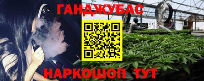 стаф Аша