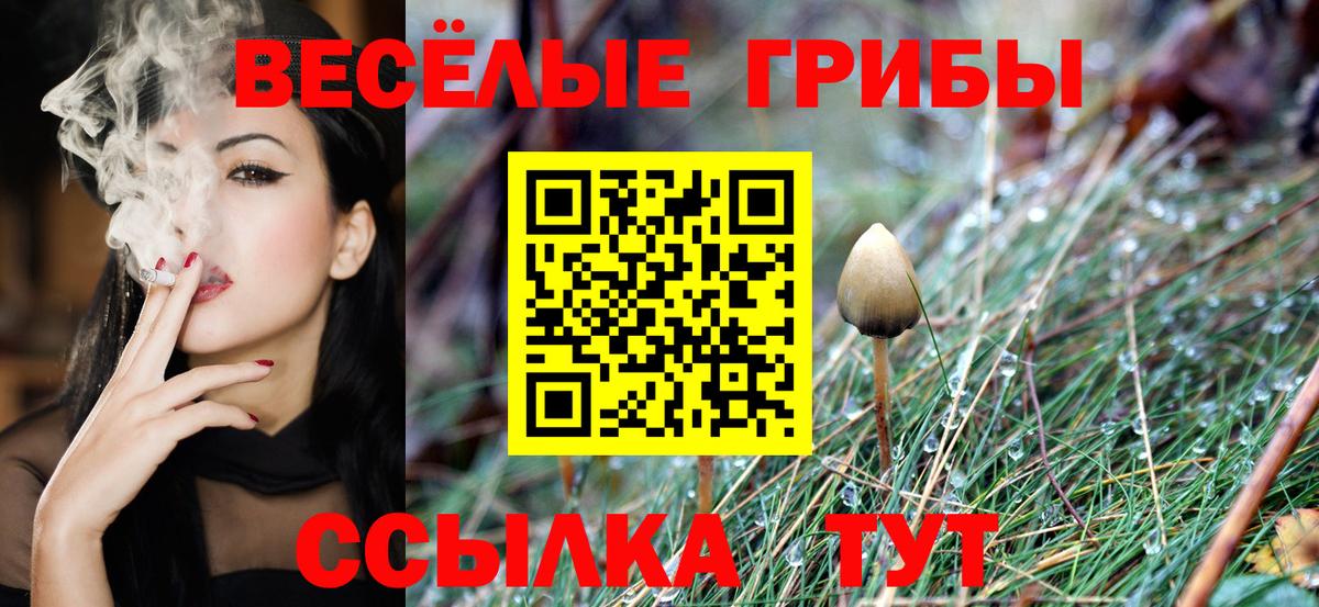 Псилоцибиновые грибы мицелий  Вход с VPN  как найти   Дмитров 